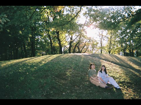 動画