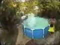 Bam Margera-Pure Insanity