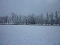 Neve a Firenze. 19 Dicembre 2009. Cascine Pratone fontana