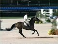 Alaska - Ridden by Todd Minikus, Owned by Callie Seaman, in the 1.45 at WEF