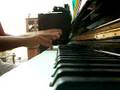 il volo del calabrone(the bumblebee).stefano bevacqua,piano.Rachmaninov Rimskji-korsakov