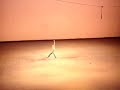 Le Corsaire
