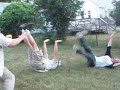 Fainting Goats Fainting Goats