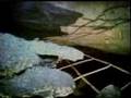 Crandall Canyon mine collapse