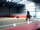 Dressage- Frenchy- Glasgow Comp