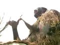 Iemanj� Orix� - M�sica sem Fronteiras - Txai Resot