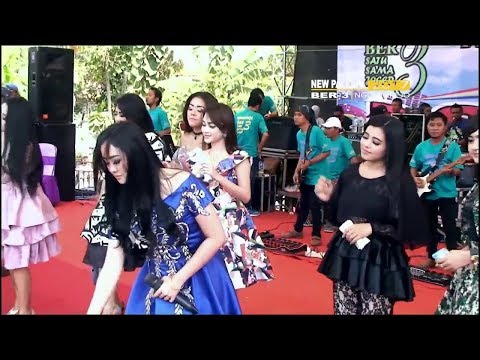 NEW PALAPA KONSER SAMBUT Tahun Baru Live Sumberrame Wringinanom Gresik