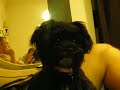 sweet-sweet-phoebe.html