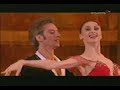 Svetlana Don Quixote Svetlana Don Quixote