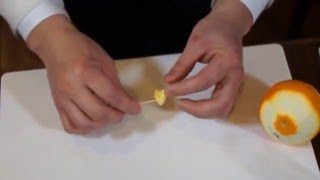 バーテンダースクール授業サンプル