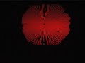 \"Section4\" live AV at IMAX, by trevor jackson & weirdcore