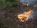 Australian Bush Burnoff