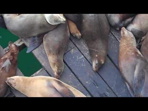 how to avoid loneliness