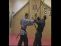 bujinkan cornella