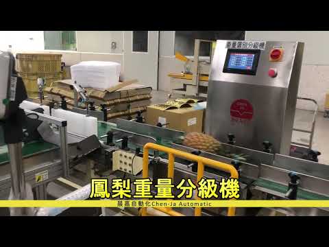鳳梨重量分級機