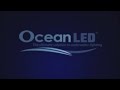 OceanLED Rooster Flame on a 62' Pershing