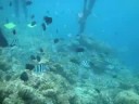 El Nido under water. theoikaris.com