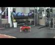 BODYWEIGHT 250