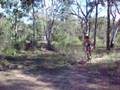 Push Bike Jumps