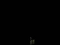 videos de Brisbane Storm 20th November 2008
