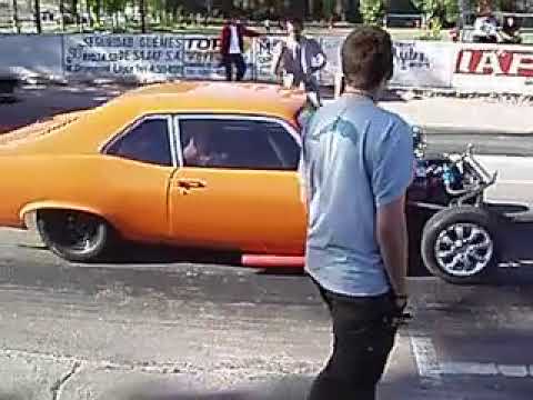 pelados