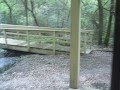 Carrollwood apartment for rent