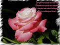 sal?h babadan 10 numara b?r ?arki ve 10 numara kl?p ?zley?n �ok g�zel