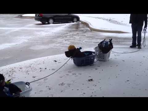 Dad's Improv Sled Ride
