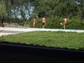 coriscada(alex,rafa,nuno)