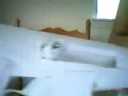 Paper An94 Paper An94