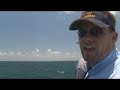 Huge Monster Hammerhead noses Sting Ray. Chew On This!