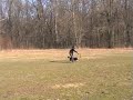 Flat work - REARCROSS