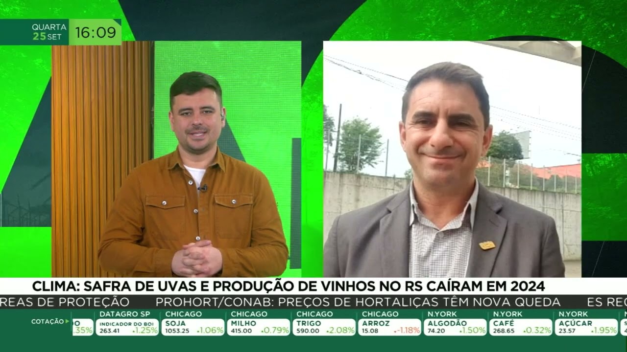 Clima: safra de uvas e produção de vinhos no RS caíram em 2024