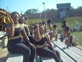 ASU MARCHING HORNETS (NECK) ASU MARCHING HORNETS (NECK)