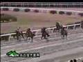 かきつばた記念動画17