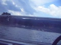 Pedregada al llag Titisee (Alemanya)