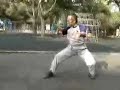 Yang Taijiquan 1st section