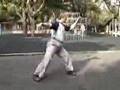 Yang Taijiquan 1st section