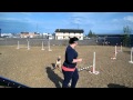 Piper practicing some Agility 1