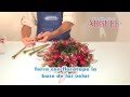 C�mo hacer un centro de mesa con velas - Corona de Adviento
