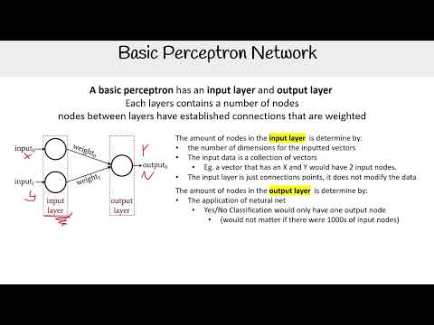 Basic Perceptron Network - AWS AI Practitioner AIF-C01
