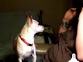 Ashley And Diva