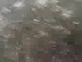 Thumbnail #3