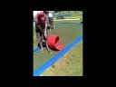 mmga open - semaphore leg