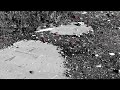 Teaser trailer Teaser trailer