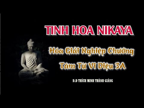 Tinh Hoa NIKAYA – Hóa Giải Nghiệp Chướng Tâm Từ Vi Diệu  3A