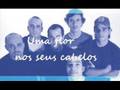 Uma flor nos seus cabelos - Planta e Raiz