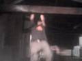 videos de Tractions.3gp