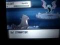 How to Catch & Evolve Combee to Vespiquen p4