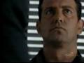 videos de Blue Heelers